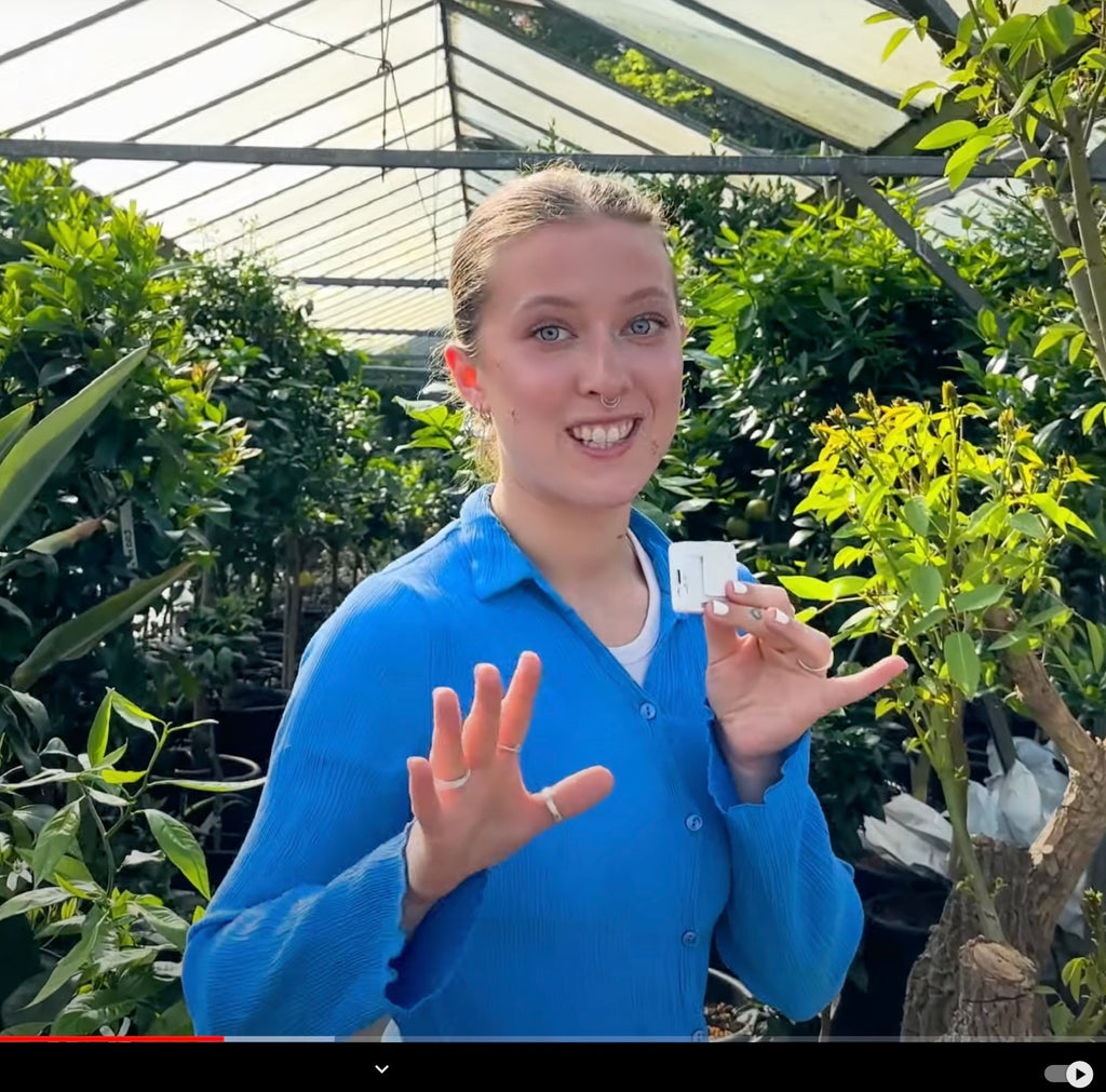 A visit from exoticfruits.co.uk