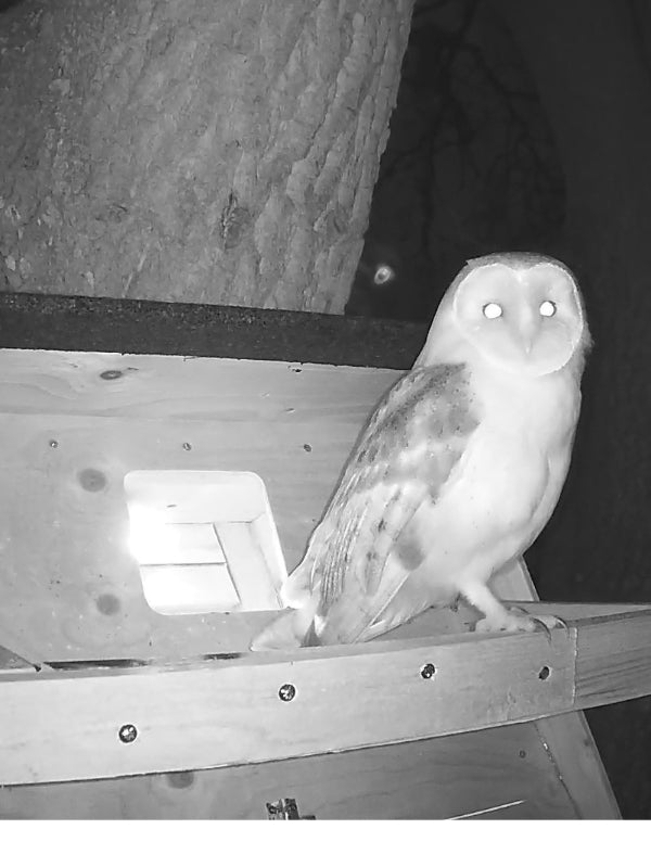 Our June Newsletter is out