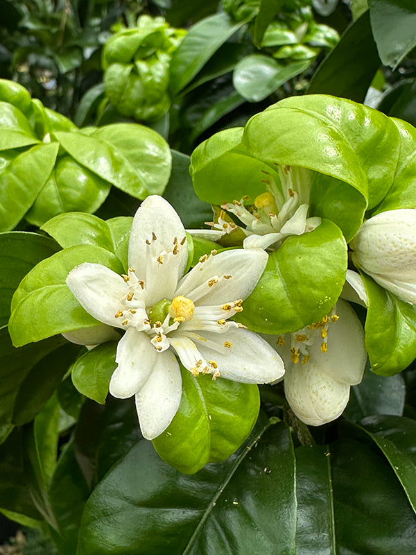 Our May Newsletter is out