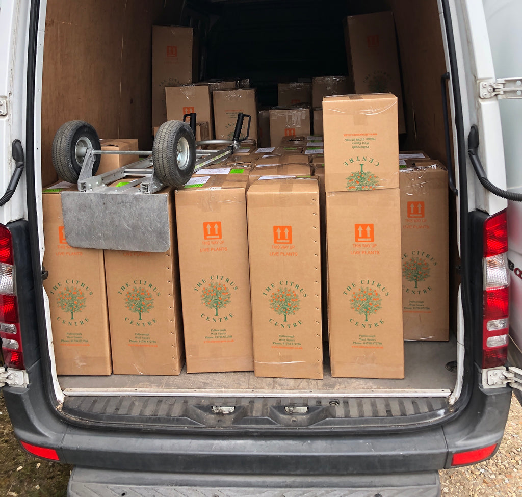 Click and Collect now Live