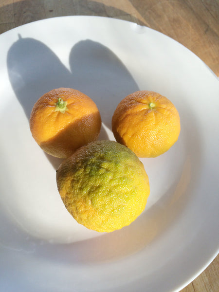 Curafora Segentrange mandarin sized fruit on a plate